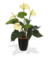 Anthurium kunstplant 40 cm crème in 10 cm kweekpot