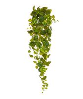 Pothos kunst hangplant 130cm - bont