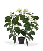 Stephanotis kunstplant 40 cm