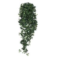 Hedera hangplant 120cm groen