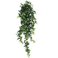 Ruscus Hangplant 125cm