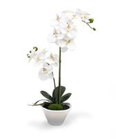 Phalaenopsis Orchidee kunstplant 50 cm x2 in schaal