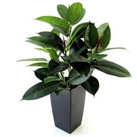 Philodendron Window kunstplant 50cm