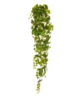 Pothos kunst hangplant 170cm - bont