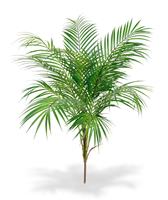 Areca kunstpalm 80cm