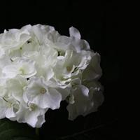 Hortensia Deluxe kunstplant 45 cm crème