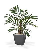 Chamaedorea kunstpalm 65 cm in pot