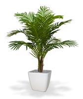 Paradize kunstpalm Promo 100cm