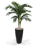 Golden Cane Areca kunstpalm 120cm