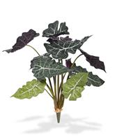 Red Alocasia kunstplant 65cm