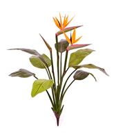 Strelitzia kunstplant 75cm