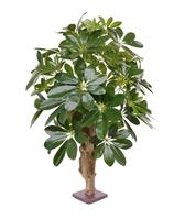 Schefflera kunstplant 65 cm op voet