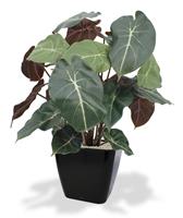 Syngonium kunstplant 60 cm