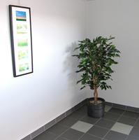 Ficus Benjamini Kunstboom 150 cm