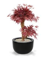 Acer kunst Bonsaiboom 60 cm burgundy