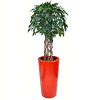 Ficus Exotica 125 cm kunst bol op stam