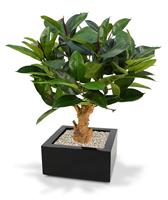 Philodendron kunstplant 80 cm op voet