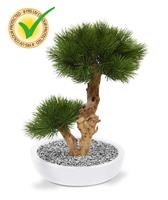 Pinus Bonsai kunstboom 55 cm op voet - uv bestendig