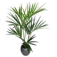 Kentia deluxe kunstpalm 135cm