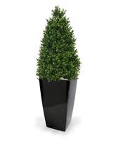 Buxus Tower kunstboom 110 cm