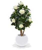 Hortensia kunstplant op stam 110 cm crème