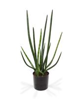 Sanseveria Cylindrica kunstplant 75 cm groen