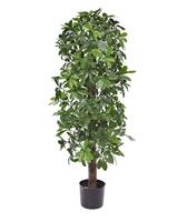 Schefflera kolom kunstboom 120cm - UV bestendig