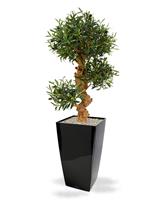 Olijf Kunst Bonsai 90 cm op voet