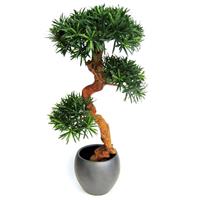 Podocarpus Kunst Bonsai 120 cm