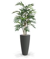 Chamaedorea Kunstpalm Deluxe 150 cm