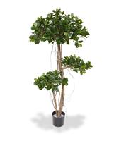 Panda Bonsai kunstboom 140 cm