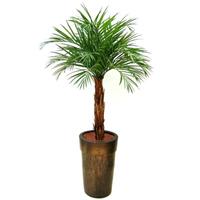 Areca kunstpalm op stam 175 cm