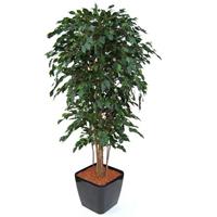 Ficus Exotica deluxe kunstboom 210cm - groen