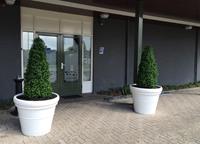 Buxus Tower kunstboom 170 cm UV