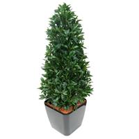 Laurier Pyramide Deluxe 150 cm kunstplant