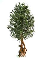 Kunst Olijfbonsai Deluxe 150 cm