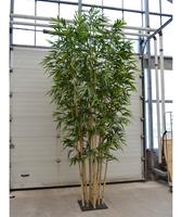 Bamboe Deluxe kunstboom 4m op plaat