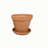 plantenwinkel.nl Terracotta pot 21 cm met schotel set