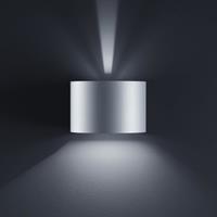 helestra LED Außen-Wandleuchte Siri 44 - R IP54 Silbergrau - 