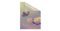 LICHTBLICK Raamfolie Schmetterling Blüte (1 stuk)