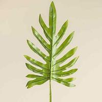 Boltze Kunstpflanzen & -blumen Blatt 103 cm (8295400) (0 grün)