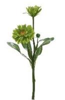 Flower & Style Kunstpflanzen & -blumen Ringelblume grün 36 cm (181607) (grün)