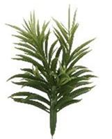 Flower & Style Kunstpflanzen & -blumen Sukkulente Pflanze grün 24 cm (185391) (grün)