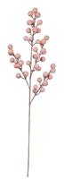 ASA Kunstpflanzen & -blumen Beerenzweig rose 49 cm (rosa)