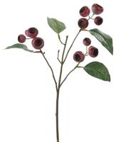 Flower & Style Kunstpflanzen & -blumen Mispelzweig aubergine-hellgrün 46 cm (lila)