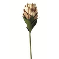 Leonardo Kunstpflanzen & -blumen Blume geschlossen 50 cm natur (62972) NEU