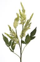 Flower & Style Kunstpflanzen & -blumen Prachtspiere soft grün 51 cm (grün)
