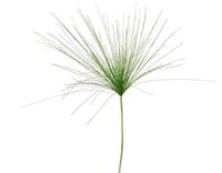 EK Kunstpflanzen & -blumen Cyprus Gras grün 94 cm (grün)