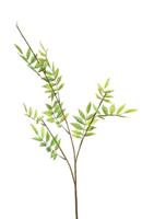 Flower & Style Kunstpflanzen & -blumen Blätterzweig frühlingsgrün 98 cm (grün)