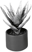 EK Kunstpflanzen & -blumen Agave im Keramiktopf, 20 cm (silber)